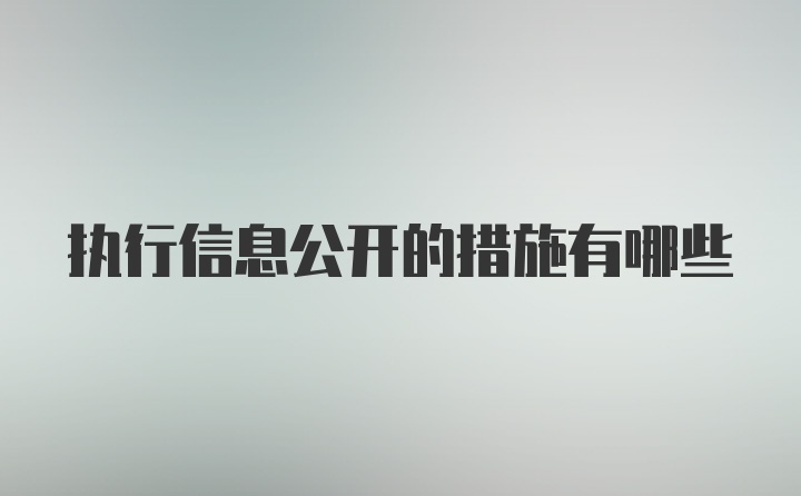 执行信息公开的措施有哪些