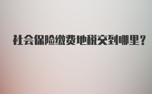 社会保险缴费地税交到哪里？