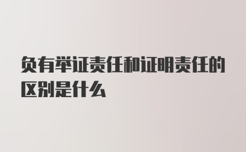 负有举证责任和证明责任的区别是什么