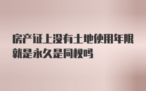 房产证上没有土地使用年限就是永久是同权吗