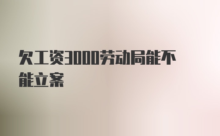 欠工资3000劳动局能不能立案