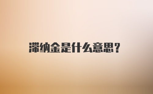 滞纳金是什么意思?