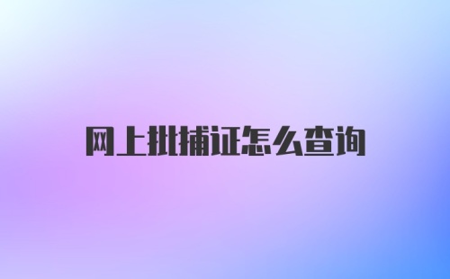 网上批捕证怎么查询