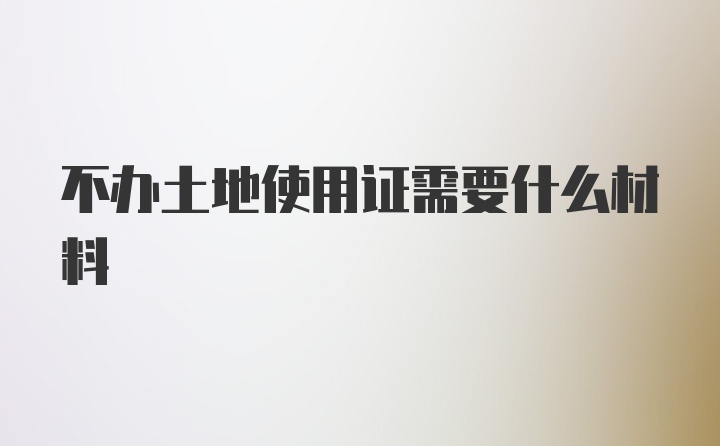 不办土地使用证需要什么材料