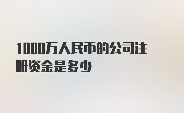 1000万人民币的公司注册资金是多少