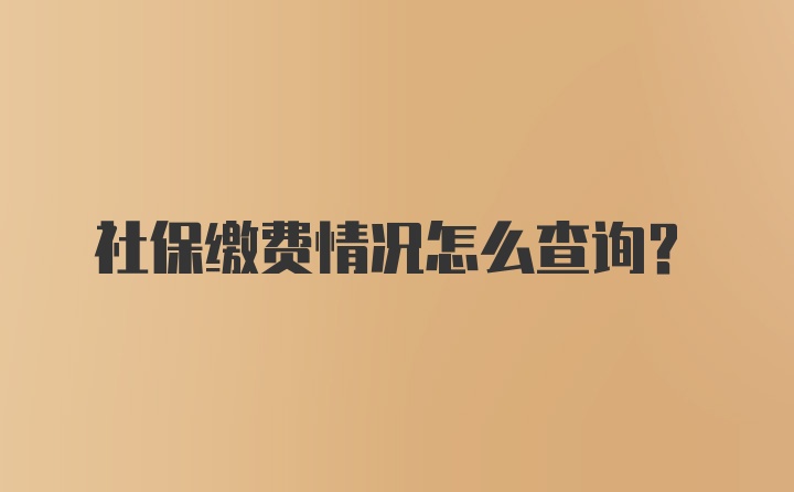 社保缴费情况怎么查询？