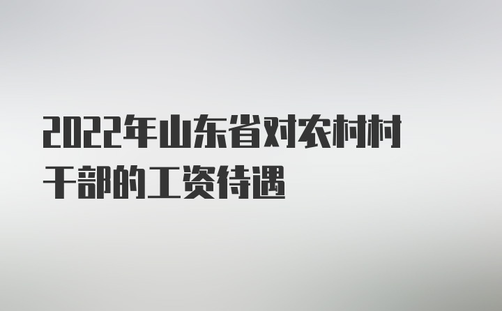 2022年山东省对农村村干部的工资待遇