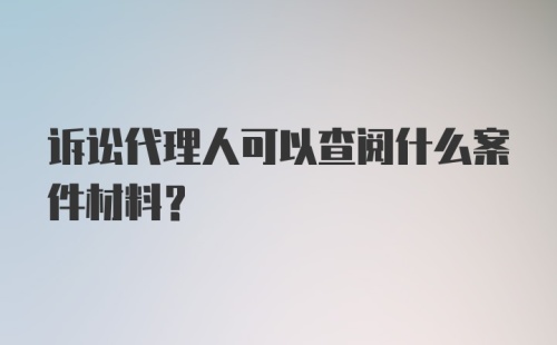 诉讼代理人可以查阅什么案件材料?