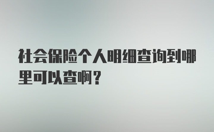 社会保险个人明细查询到哪里可以查啊？