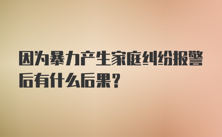 因为暴力产生家庭纠纷报警后有什么后果？