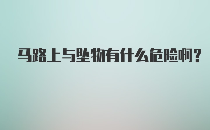 马路上与坠物有什么危险啊？