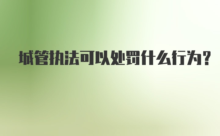 城管执法可以处罚什么行为?