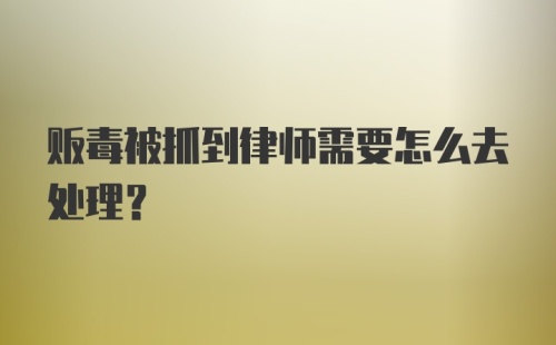 贩毒被抓到律师需要怎么去处理？