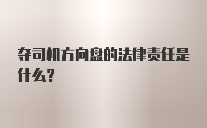 夺司机方向盘的法律责任是什么？