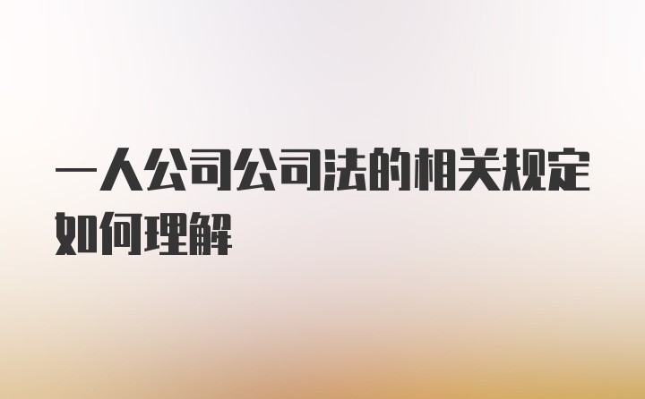 一人公司公司法的相关规定如何理解