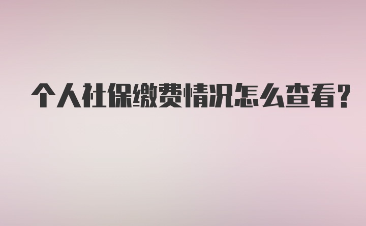 个人社保缴费情况怎么查看？