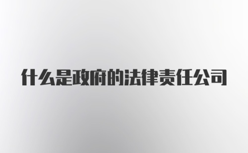 什么是政府的法律责任公司