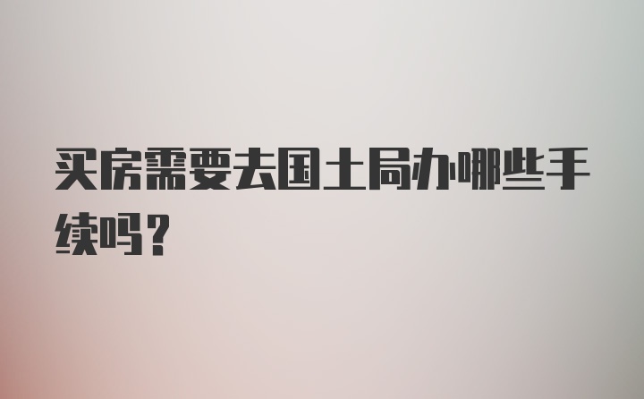 买房需要去国土局办哪些手续吗？