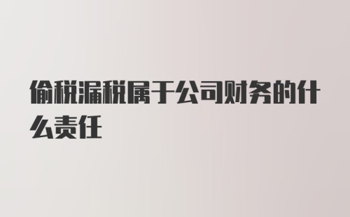 偷税漏税属于公司财务的什么责任