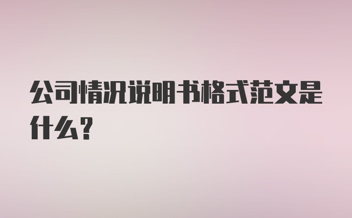 公司情况说明书格式范文是什么？