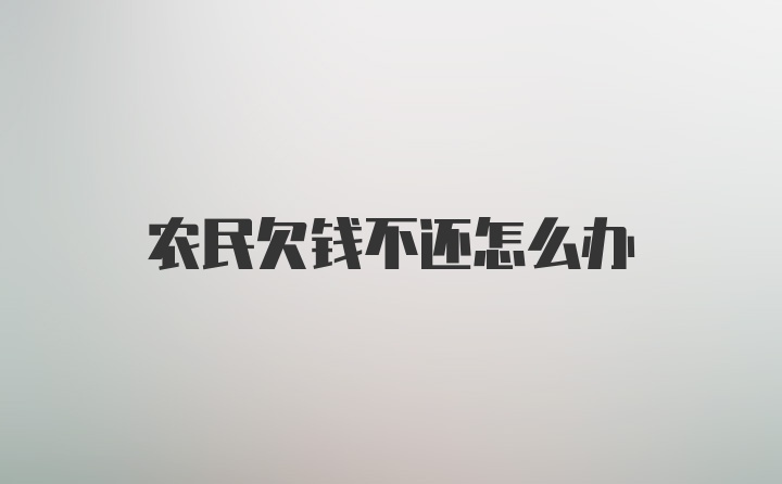 农民欠钱不还怎么办