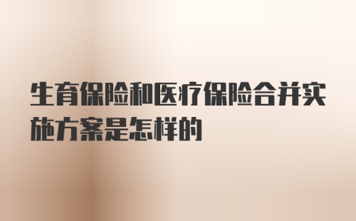 生育保险和医疗保险合并实施方案是怎样的