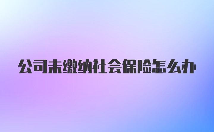 公司未缴纳社会保险怎么办