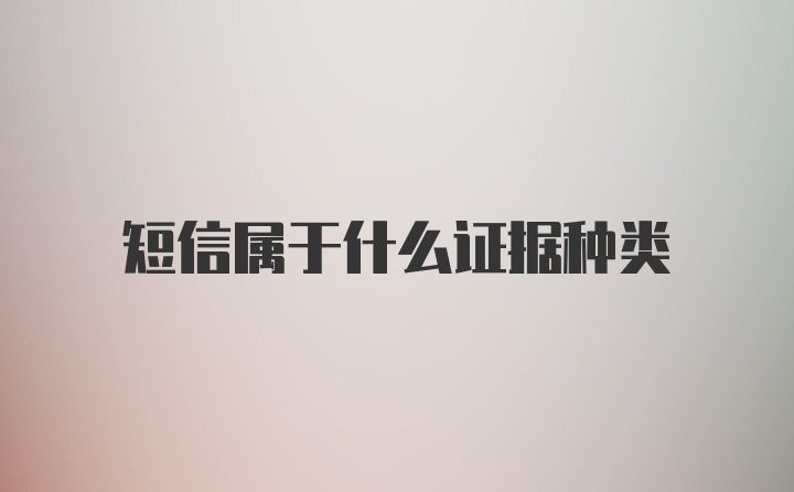 短信属于什么证据种类