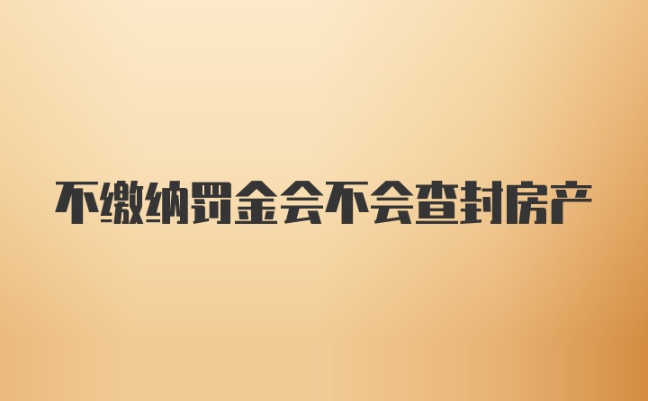 不缴纳罚金会不会查封房产