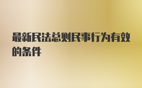 最新民法总则民事行为有效的条件