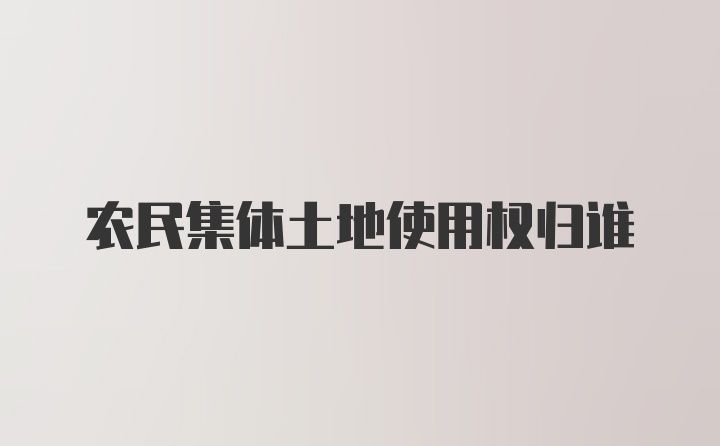 农民集体土地使用权归谁