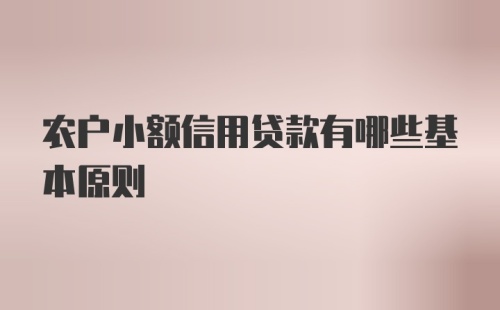 农户小额信用贷款有哪些基本原则