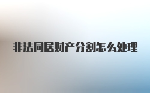 非法同居财产分割怎么处理