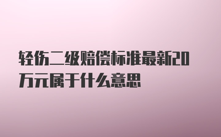 轻伤二级赔偿标准最新20万元属于什么意思