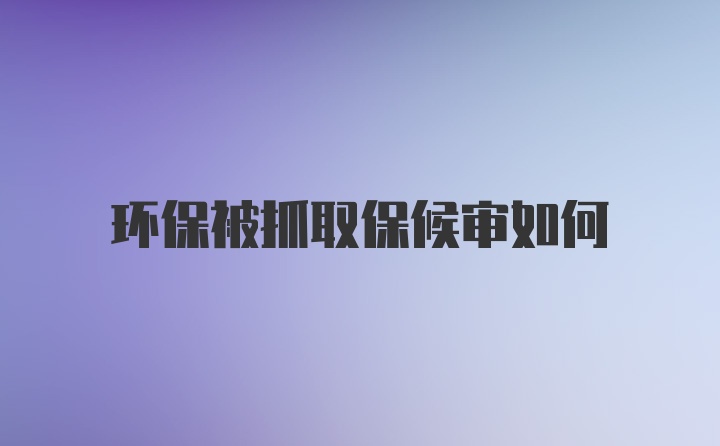 环保被抓取保候审如何