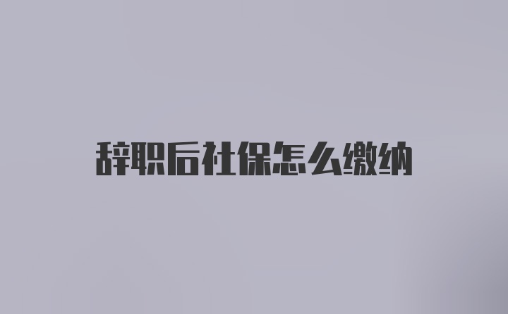 辞职后社保怎么缴纳