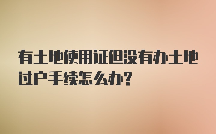 有土地使用证但没有办土地过户手续怎么办？