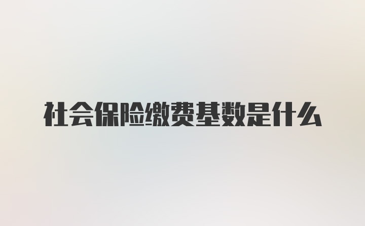 社会保险缴费基数是什么