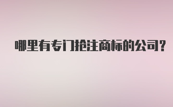 哪里有专门抢注商标的公司？