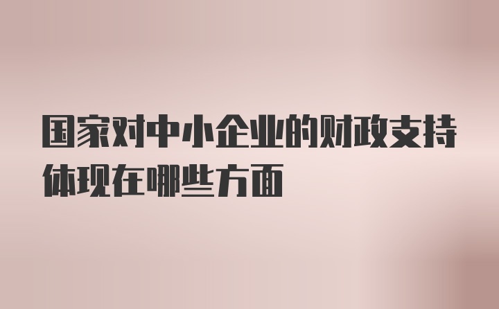 国家对中小企业的财政支持体现在哪些方面