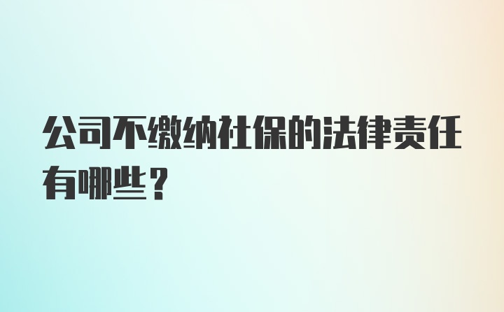 公司不缴纳社保的法律责任有哪些？