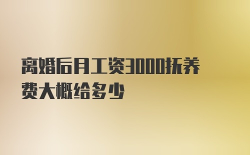 离婚后月工资3000抚养费大概给多少