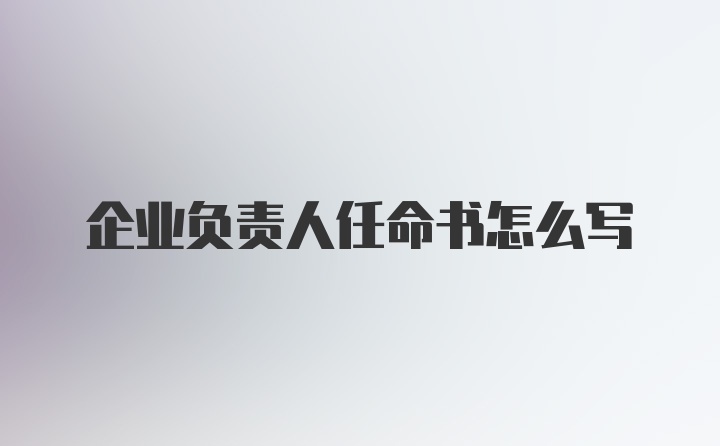 企业负责人任命书怎么写