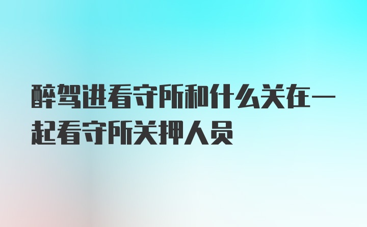 醉驾进看守所和什么关在一起看守所关押人员