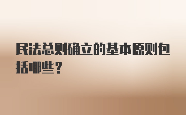 民法总则确立的基本原则包括哪些?