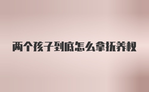 两个孩子到底怎么拿抚养权