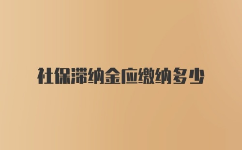 社保滞纳金应缴纳多少