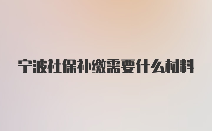 宁波社保补缴需要什么材料