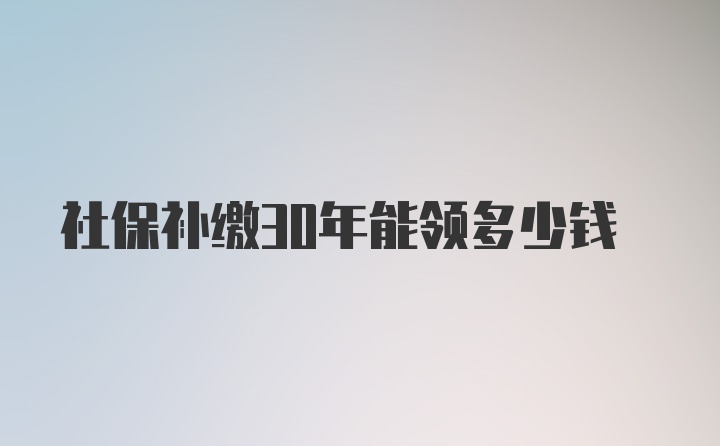 社保补缴30年能领多少钱