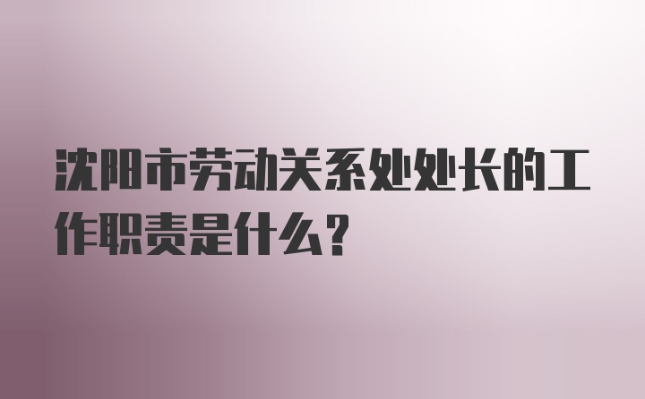 沈阳市劳动关系处处长的工作职责是什么?